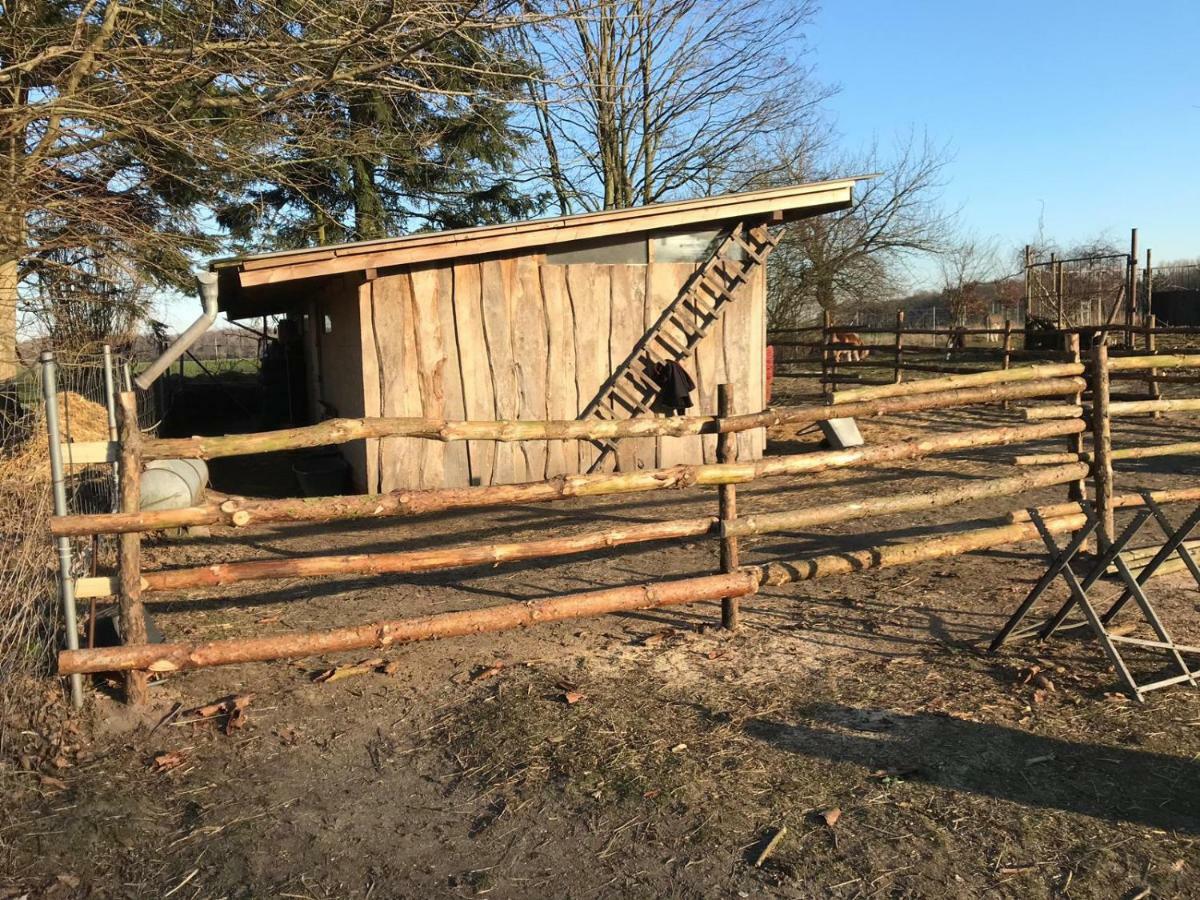 Landhaus Chlosta Buttelkow Dış mekan fotoğraf